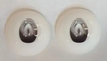 보크스 드림 초이스 한정판 애니메이션 타입 시코쿠 22mm