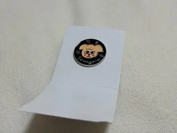 StrayKids 전시회 랜덤 핀 배지 퍼핌