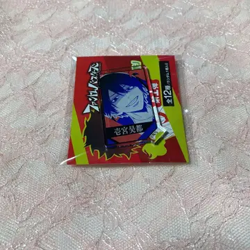 팬텀 버스터즈 이치노미야 코토