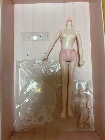 리카짱 포토제닉 리카 바디 핸드 부품 스탠드