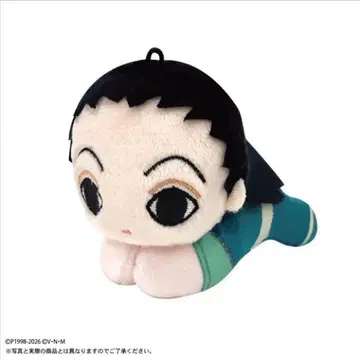 HUNTER x HUNTER 하구캐릭터 이르미