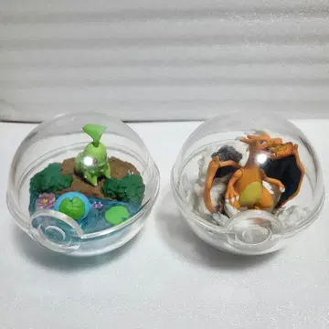 포켓몬 테라리움 컬렉션 치코리타 오 파 리자몽