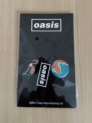 오아시스 키링 oasis 30주년 Live Forever