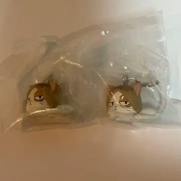 하이큐!! 애니멀 흔들흔들 마커 켄마 고양이