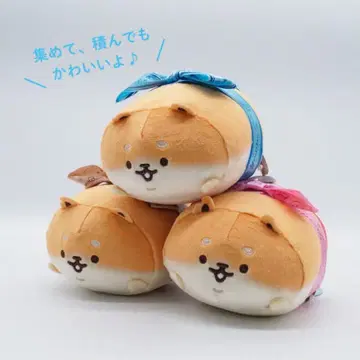 이스트 켄. 시바코페 리본 봉제 인형 3종 세트