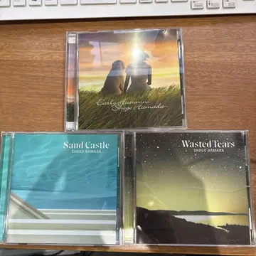 하마다 쇼고 발라드 컬렉션 SHOGO HAMADA CD 3장 세트