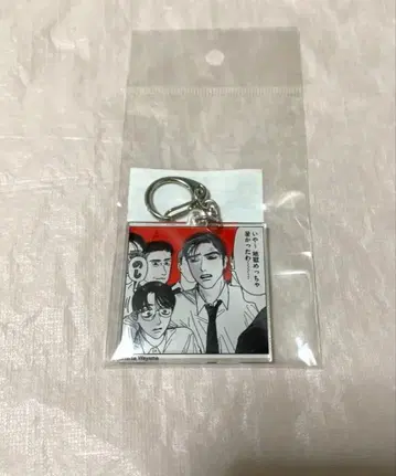 코믹 빔 28th전 아크릴 키링 와야마 야마 가라오케 가자