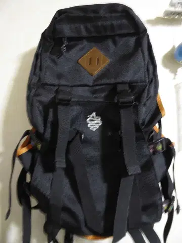 알디스 aldies 백팩 Low Ruck