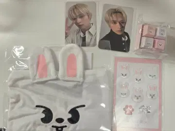Stray Kids 스키즈 온라인 복권 리노 컴프