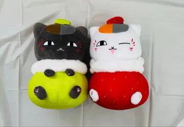 딸기냥코 선생님