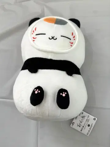팬더냥코 선생님
