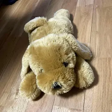 강아지 봉제 인형 폭신폭신 베이지 43cm