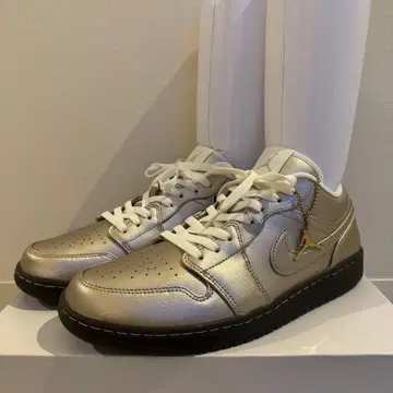 JORDAN Jordan 1 Low SE
