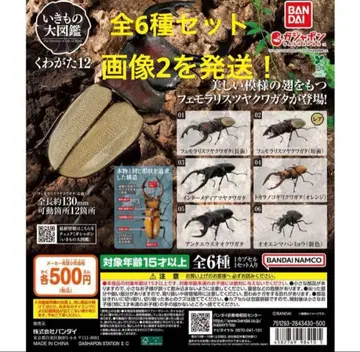 생물대도감 사슴벌레 12