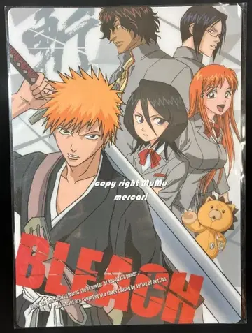 [미사용 새상품] BLEACH 블리치 책받침 1