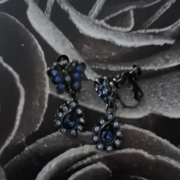 귀찌(ANNA SUI)