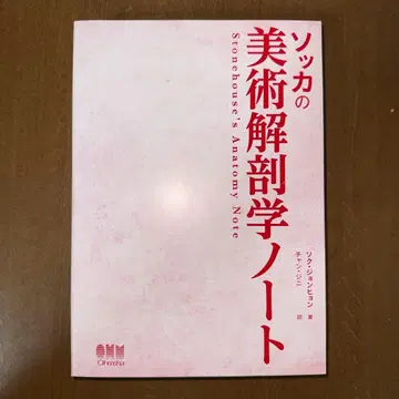 석가의 미술 해부학 노트 석정현