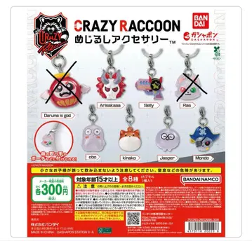 CRAZY RACCOON 누시루시 액세서리 묶음 구매