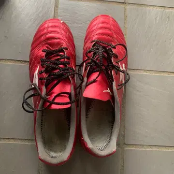 MIZUNO 축구 스파이크 모나르시다