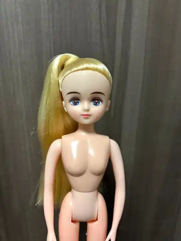 리카짱 캐슬 오타노시미 인형 팔레트F 프렌드