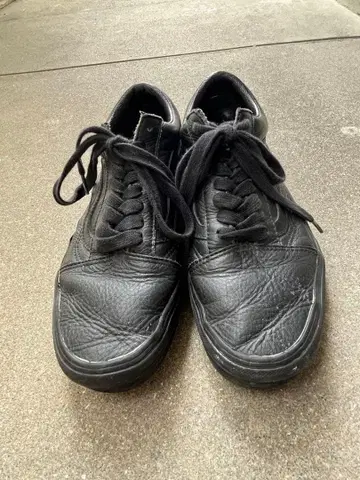 VANS 반스 508357 오센틱