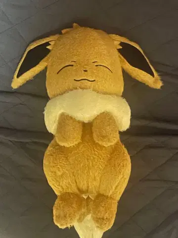 최종 가격 인하 택 없음 새상품급 포켓몬 이브이 봉제 인형