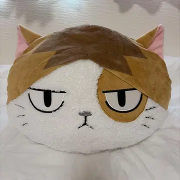 하이큐!! 애니멀 BIG 봉제 인형 2 켄타로 고양이