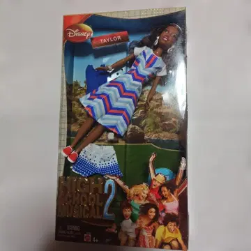 Disney High School Musical 2 Taylor