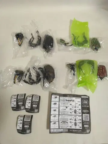 반다이 생물대도감 사슴벌레 08 4종 세트 일괄 12-592