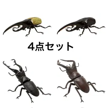 생물대도감 미니 컬렉션 장수풍뎅이 사슴벌레 4종 세트