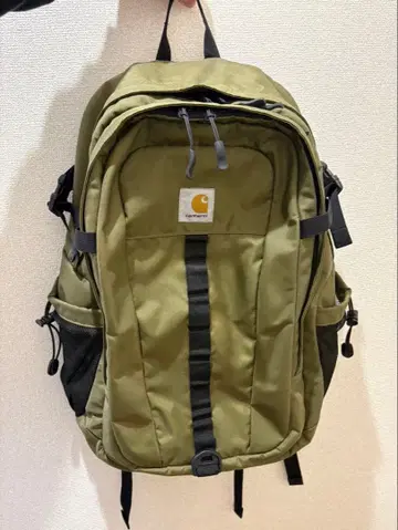 Carhartt 백팩 올리브