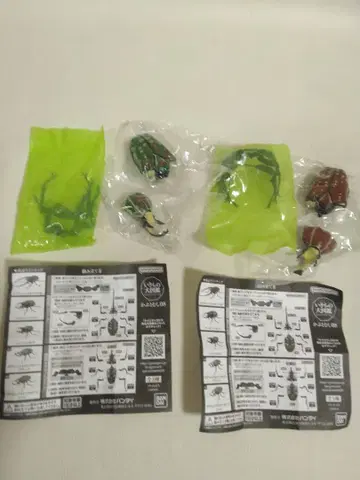 생물대도감 딱정벌레 08 폴리페무스 오오츠노 카나분 2종