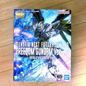 MG 1/100 프리덤 건담 Ver.2.0 (리얼 타입 컬러)