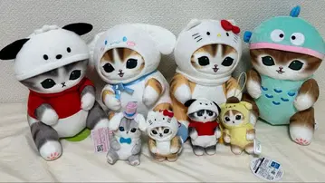모프 샌드 산리오 봉제 인형 시나모롤 뽀짜꼬 키티 한교동