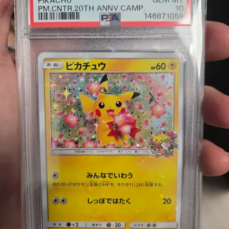 포켓몬카드 벚꽃츄 psa10 판매합니다