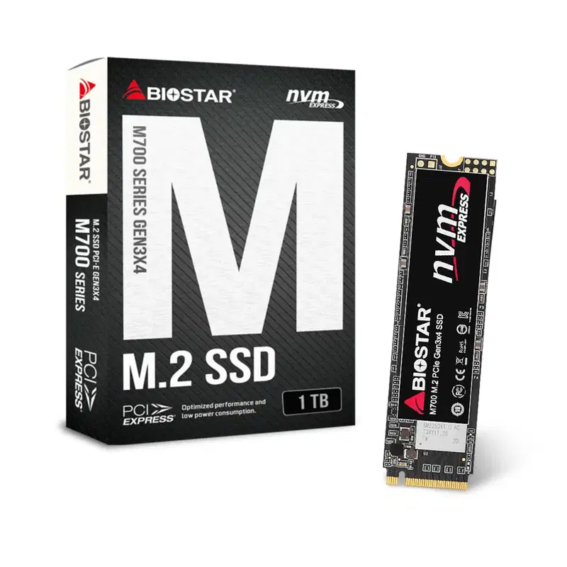 바이오스타 M700 M.2 NVMe 1TB SSD 벌크 데스크탑 노트북
