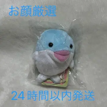 minibeans 돌고래 아기 봉제 인형 미니콩 돌고래