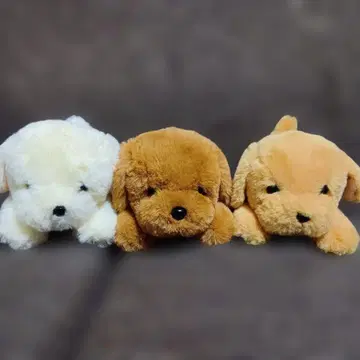 단풍나무 아이 봉제 인형 3개 세트 골든 리트리버 아루마도 강아지