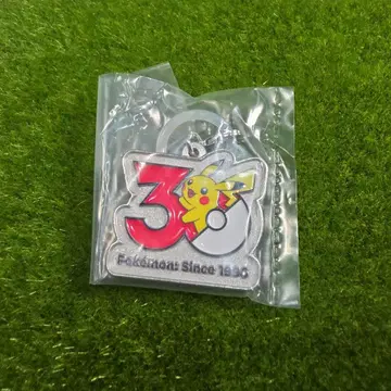 포켓몬 30주년 메탈 참 마스코트 피카츄