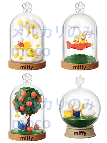 미피 리멘트 테라리움 x 4