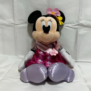 한정판 비비디 바비디 부티크 라푼젤 의상 미니 마우스