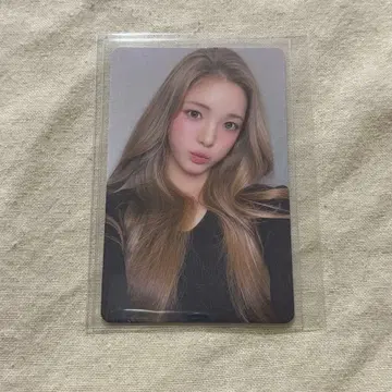 유하 kms focus 상하이 트레이딩 카드