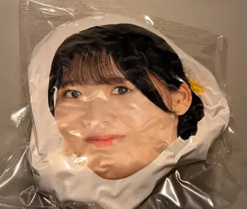 얼굴 쿠션 하시타 호카 로지 크로니클