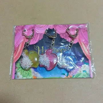Mrs. GREEN APPLE 미세스 그린애플 키홀더