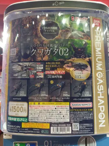 가챠 생물대도감 사슴벌레 02 오오쿠와가타
