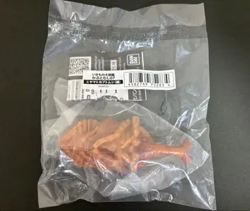 생물대도감 장수풍뎅이 07 야마토장수풍뎅이 번데기