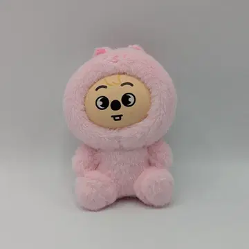 스트레이 키즈 스테이 인 아워 리틀 하우스 한 스키주 플러시 토이 스키주