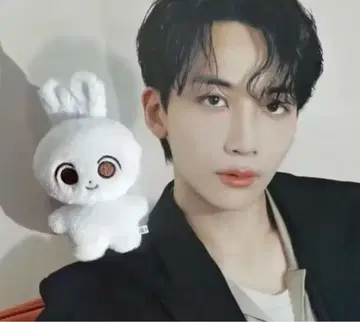 SEVENTEEN 정한 봉제 인형 10cm