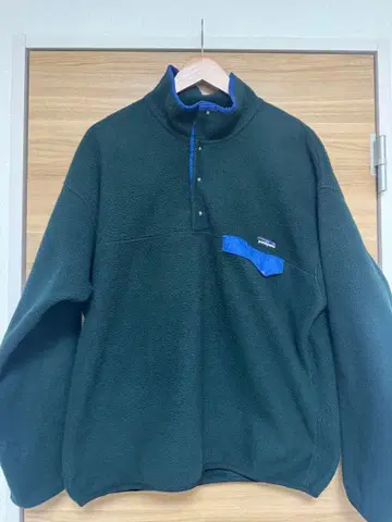 Patagonia 스냅t 눈 없음
