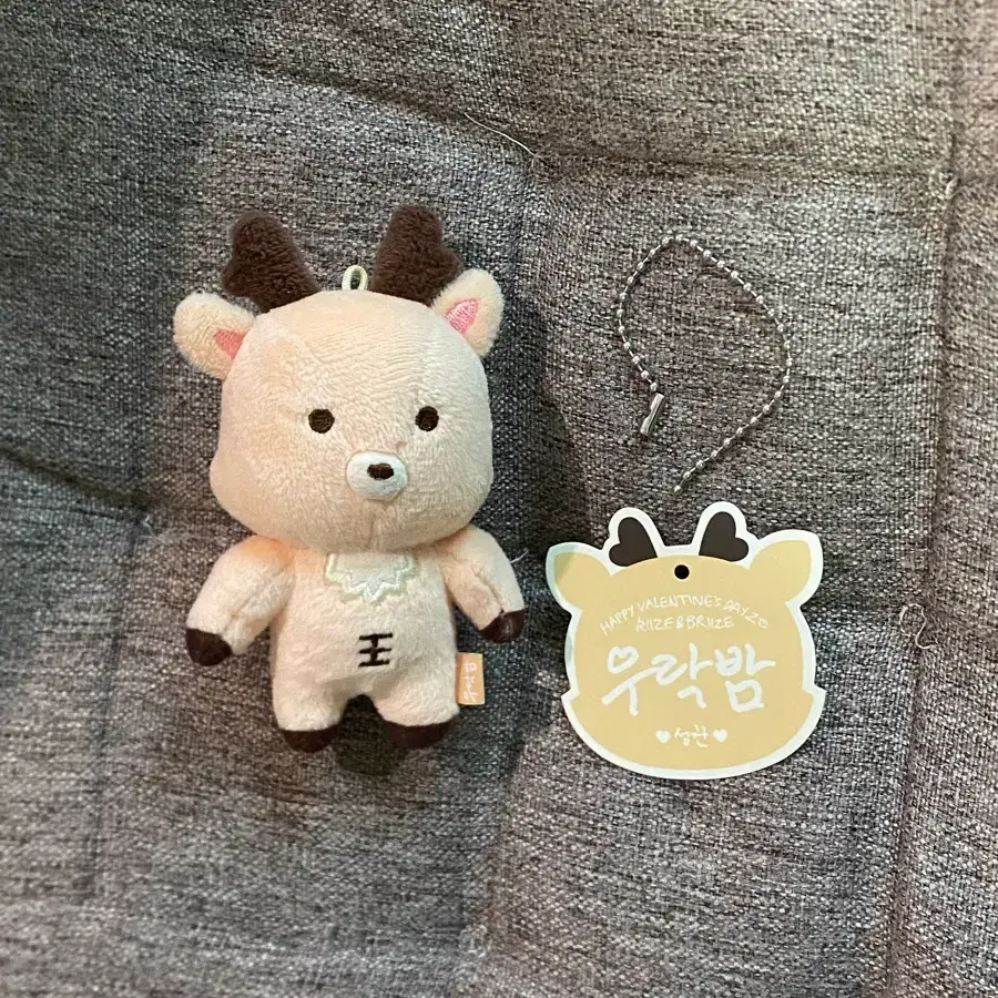 wts riize doll riize 10cm doll, To냥덕 ddolbyung Lizco | Bunjang